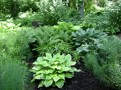 Plantings, Norton, OH Plantings, Norton, OH