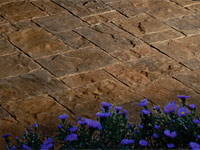 Lafitt™ Paver